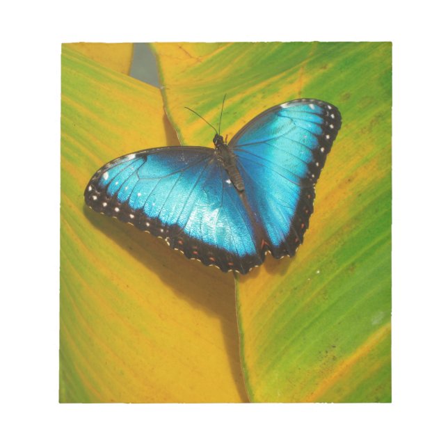 Vackrik Iridescent Butterfly Anteckningsblock (Framsida)