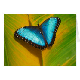 Vackrik Iridescent Butterfly Hälsningskort