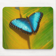 Vackrik Iridescent Butterfly