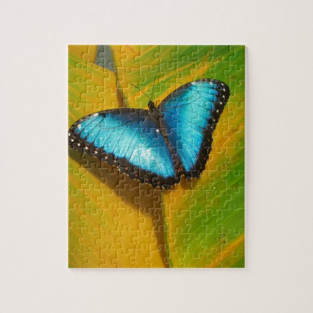 Vackrik Iridescent Butterfly Pussel (Vertikal)