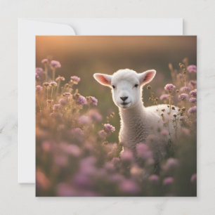 Vackrik Lamb