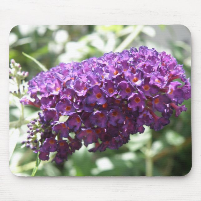 Vackrik Lila Buddleia Flowers Mousepad Musmatta (Framsidan)