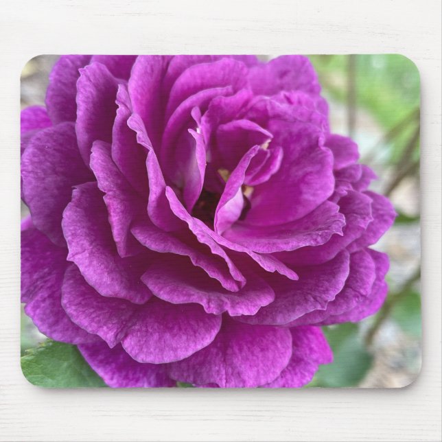 Vackrik Lila Lilac Ro Mouse Pad Musmatta (Framsidan)