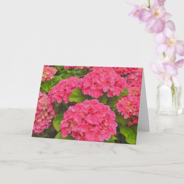 Vackrik Rosa Hydrangea Garden Flower Art Kort (Orkide)
