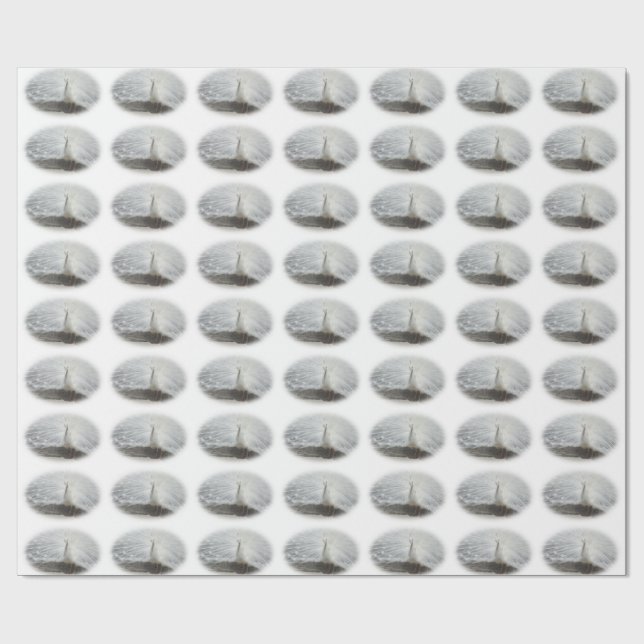 Vackrik Vita Peacock Presentpapper (Platt)