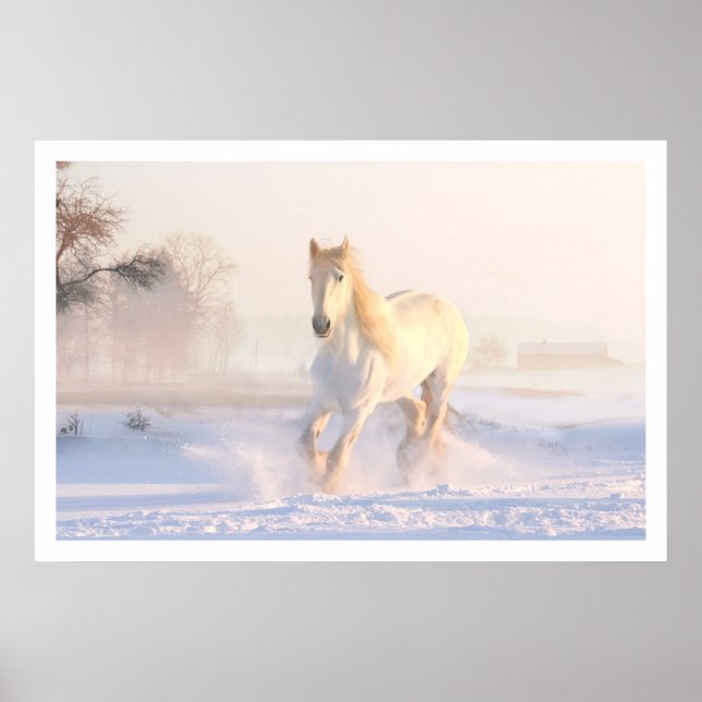 Vackrik White Horse Poster (Framsidan)