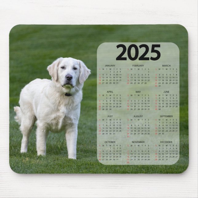 Vackrik White Labrador 2025 Hund Calendar Musmatta (Framsidan)
