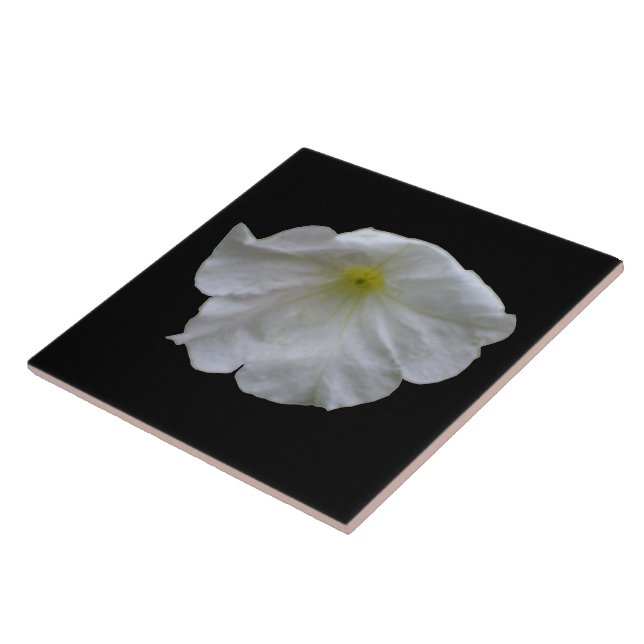 Vackrik White Petunia Tile Kakelplatta (Sidan)