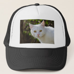 Vackvit katt keps