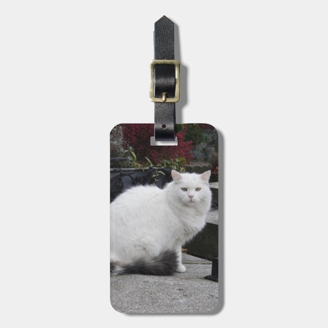 Vackvit katt på grav bagagebricka (Vertikal Framsida)