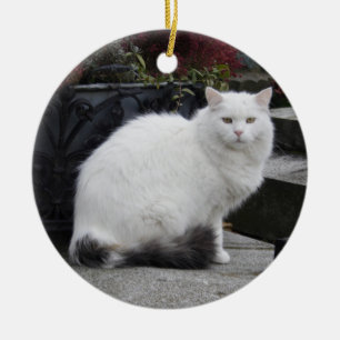 Vackvit katt på grav julgransprydnad keramik