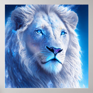 Vackvit, Lejon med Blue Ögon Poster