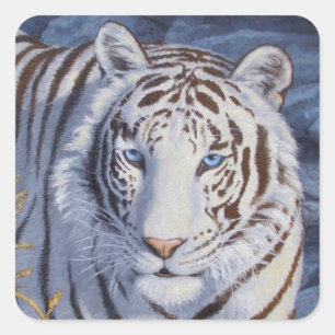 Vackvit tiger med Crystal Blue Öga Fyrkantigt Klistermärke