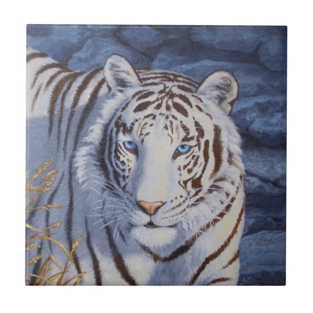 Vackvit tiger med Crystal Blue Öga Kakelplatta (Framsidan)