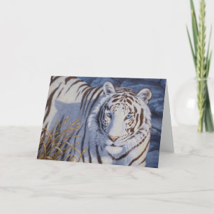 Vackvit tiger med Crystal Blue Öga Kort