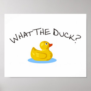 Vad är Anka? Poster