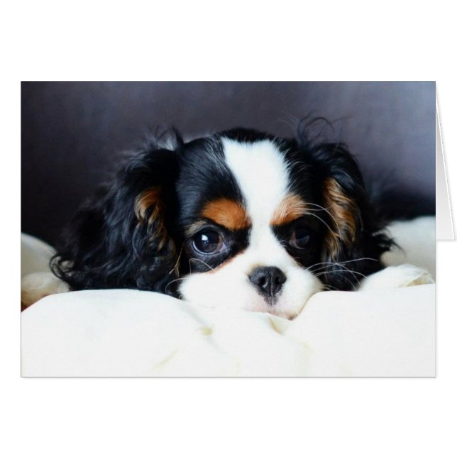 Vad är Ansikte? Hälsningskort (Framsidan Horizontal)