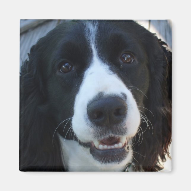 Vad är ansikte? magnet (Framsidan)