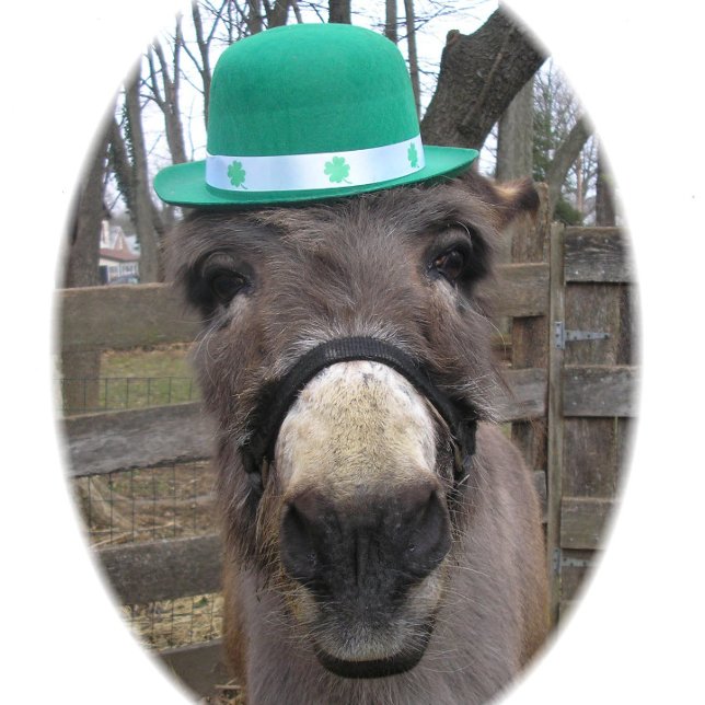 "Vad är Big Deal?" Presentpapper (Skapare uppladdad)