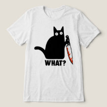 Vad är Black Cat Knife Meme