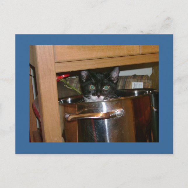 Vad är Cookin? Vykort (Framsida)