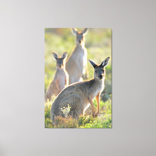 VAD ÄR DET? 32 x 48 Canvastryck (Framsida)