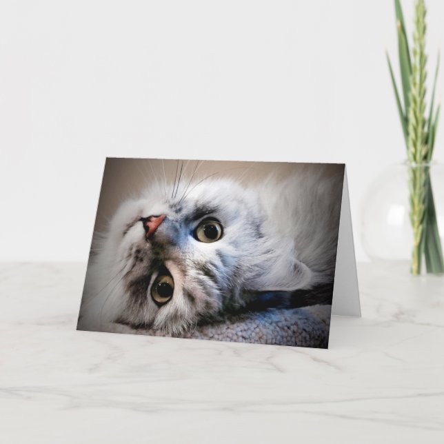 Vad är det? Att tänka på ditt kort (Framsida)