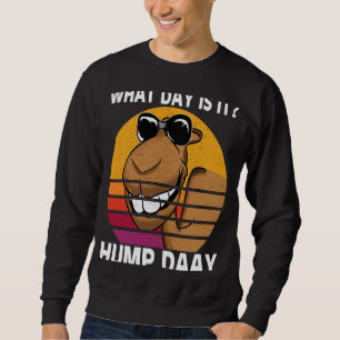 Vad är det för dag? lång ärmad tröja