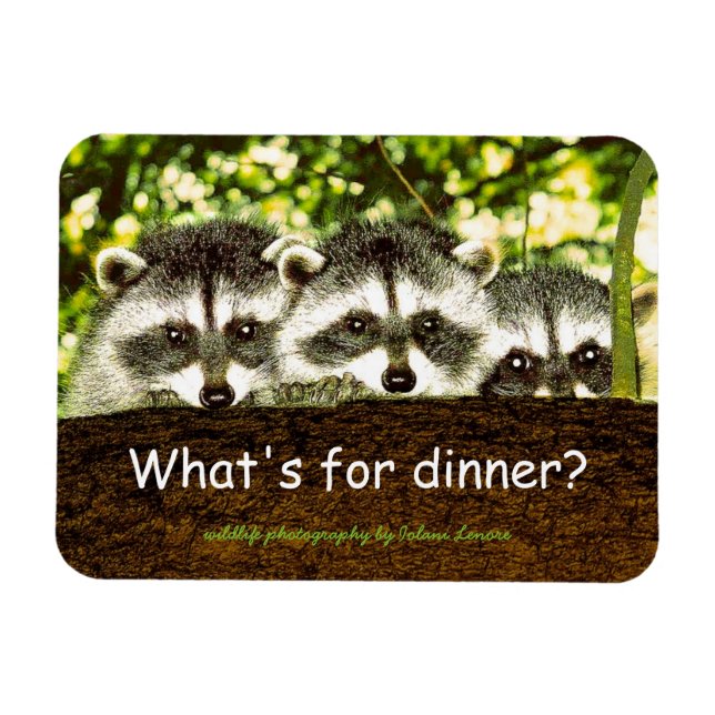 Vad är det för middag? Rasionmagnet. Magnet (Horisontell)