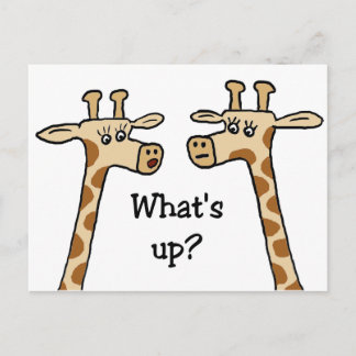 Vad är det? Giraffe-vykort Vykort
