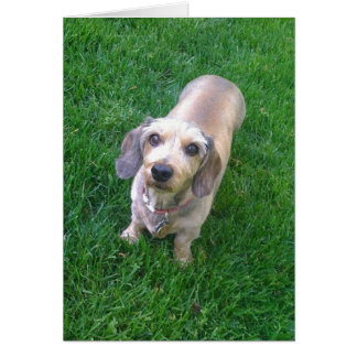 Vad är det? hälsningskort