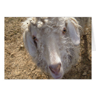 Vad är det? hälsningskort