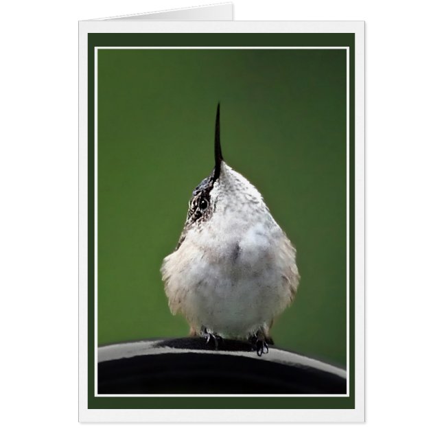 Vad är det? hälsningskort (Framsidan)