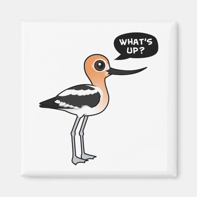 Vad är det? magnet (Framsidan)