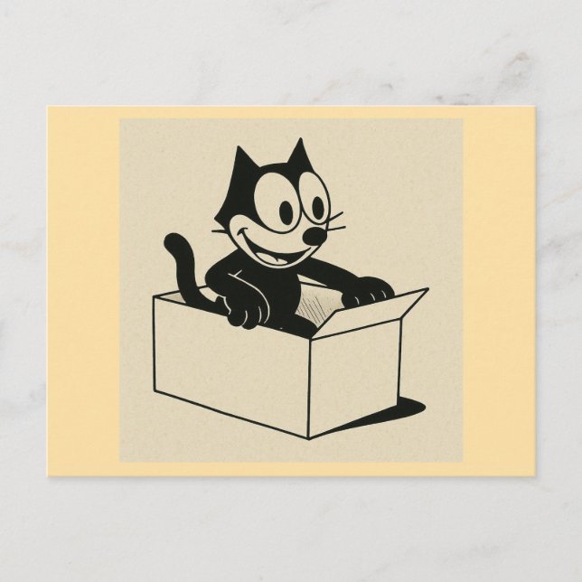 Vad är det med CATS och BOXES?! Vykort (Framsida)