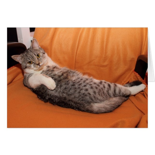 Vad är det? Middag Redo? Hälsningskort (Framsidan Horizontal)