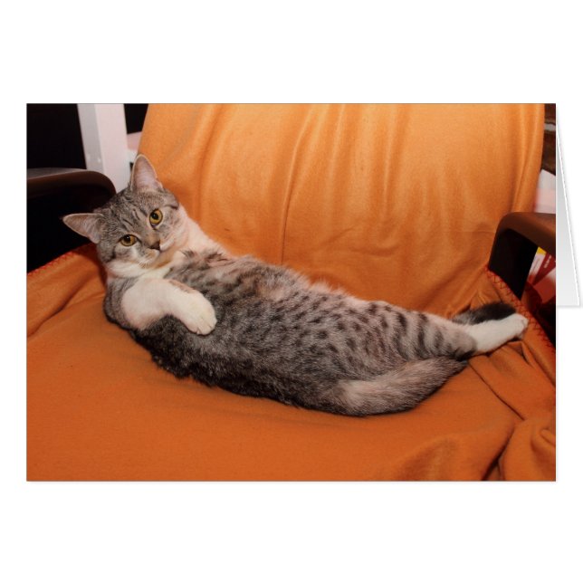 Vad är det? Middag Redo? OBS Kort (Framsidan Horizontal)