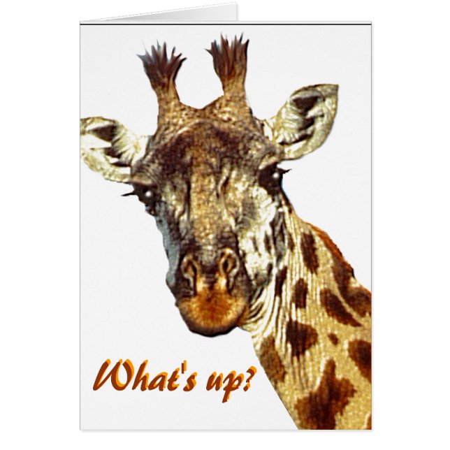 "Vad är det?" OBS Kort (Framsidan)