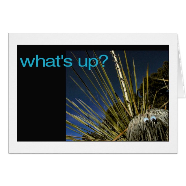 Vad är det? OBS kort (Framsidan Horizontal)