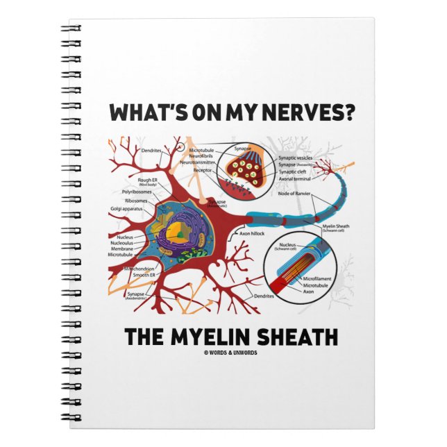 Vad är det på mina nerver? Myelin Sheath Anteckningsbok (Framsidan)