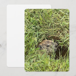 Vad är det? Platt Helgdag Julkort