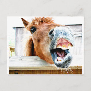 Vad är det som är så roligt? vykort