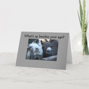 VAD ÄR DET SOM BÄST DIN ÅLDER? KORT