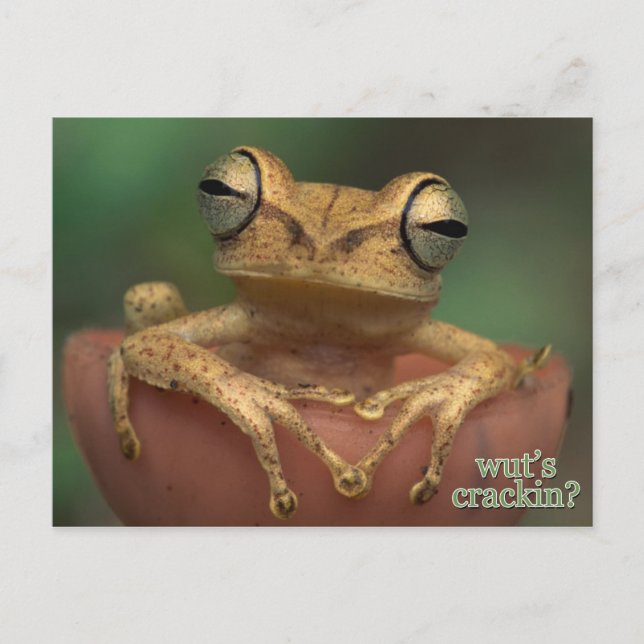 Vad är det som spricker? vykort (Framsida)