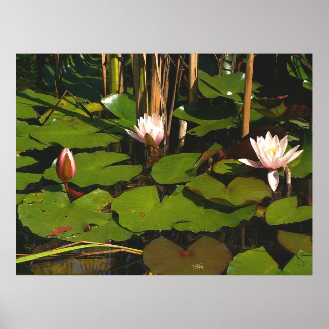 Vad är det under? poster (Framsidan)