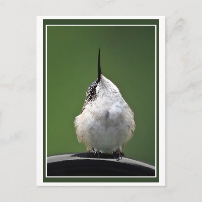 Vad är det? vykort (Framsida)