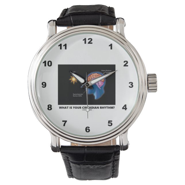 Vad är din Circadian-rytm? Armbandsur (Framsida)