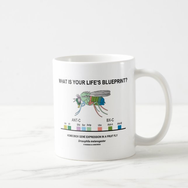 Vad är ditt livs skiss? (Genuttryck) Kaffemugg (Höger)