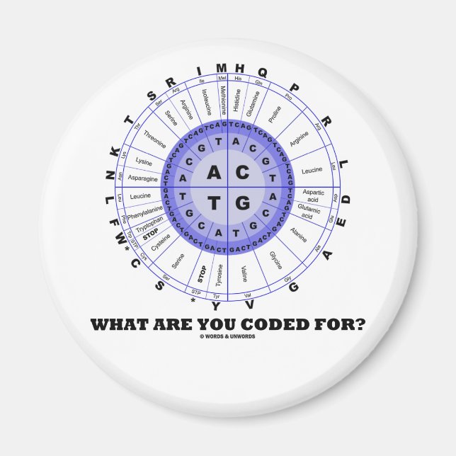 Vad är du kodad för? (Aminosyrahjul) Magnet (Framsidan)