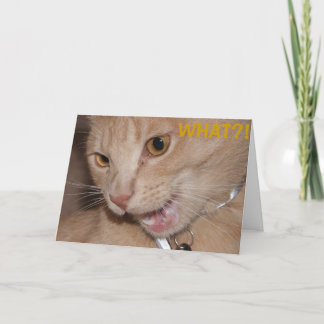 VAD? Är du så gammal? Kort